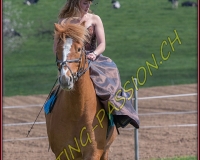 1AMAZONE- 0464